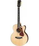 Gibson PARLOR ROSEWOOD AG Antique Natural 2018