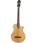Epiphone SST Coupe AN